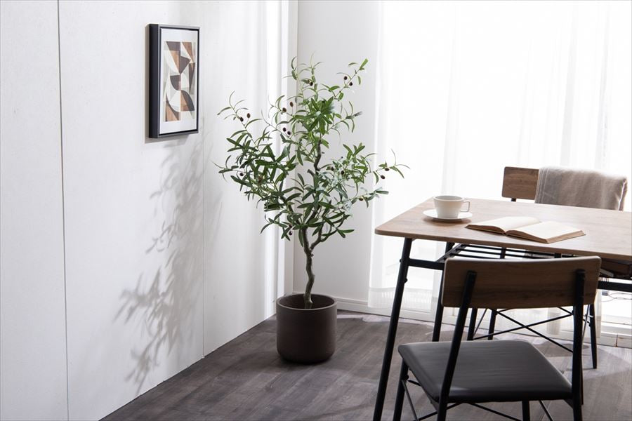 雰囲気を造るオリーブ