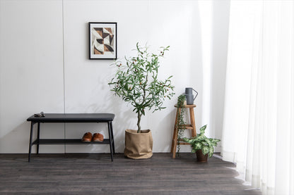 雰囲気を造るオリーブ